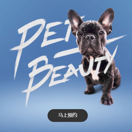 习水宠物中心小程序开发